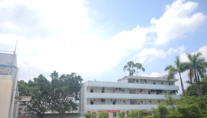sungame
